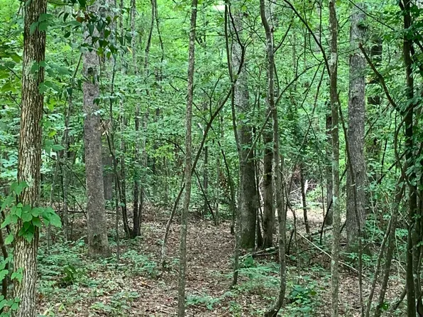 0 David Watkins Dr, Brandon, MS 39042