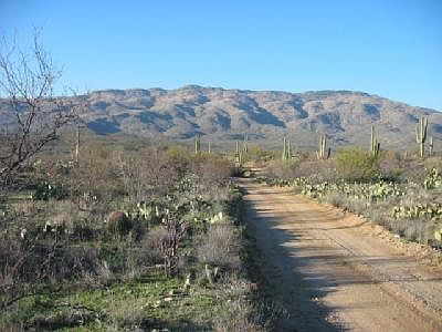 4th image of 0 E Camino Dorotea