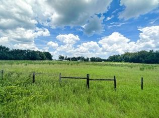 1 NE Sandspur Ln, Mayo, FL 32066