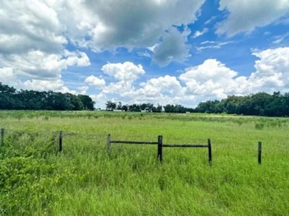 1 NE Sandspur Ln, Mayo, FL 32066