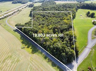 5 Old Back Rd #O, Raphine, VA 24472