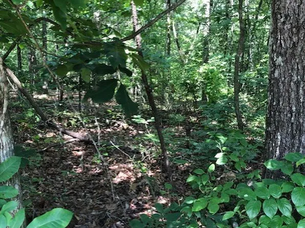 LOT 3 Daniel Rd, Demorest, GA 30535