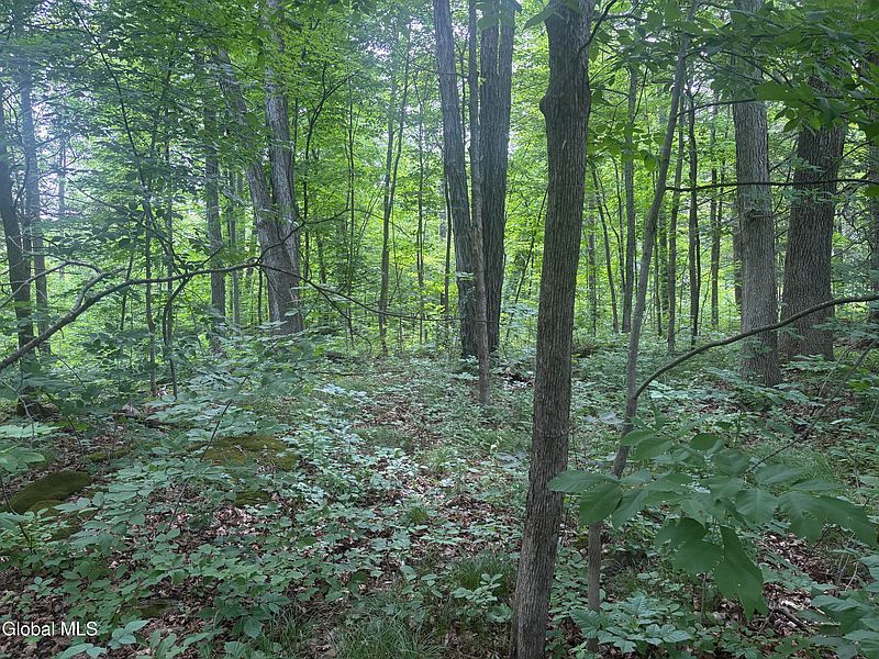 4th image of L1.022 Delaware