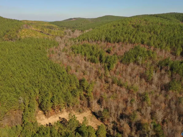 County Road 651, Piedmont, AL 36272