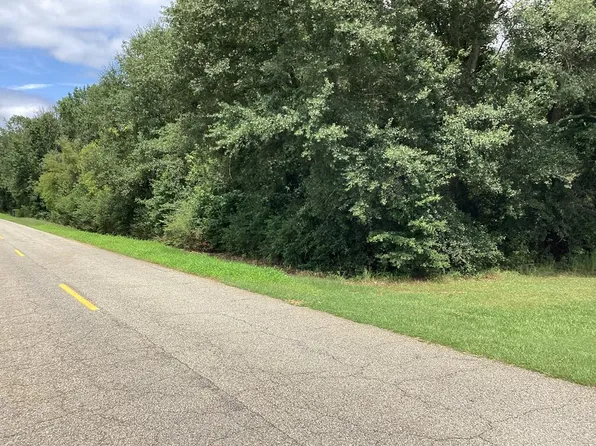 204691 Suggs Rd, Headland, AL 36345