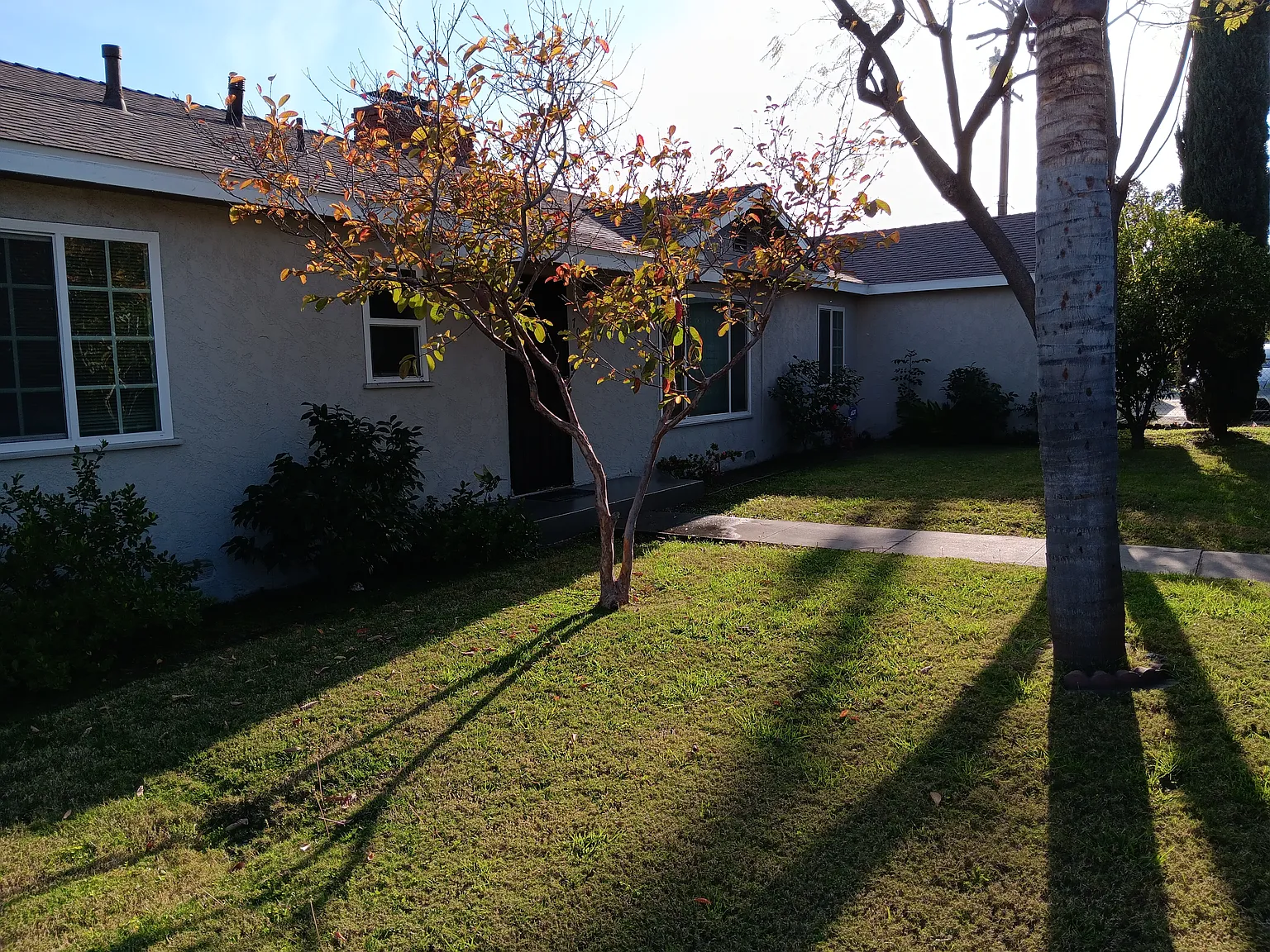 3 bed, 1385 sqft, $3,100 — Photo 3