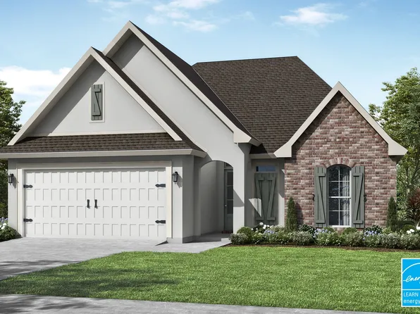 Viola Plan, Magnolia Trace