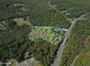 0 SW Thomas J Hill Rd, Bristol, FL 32321