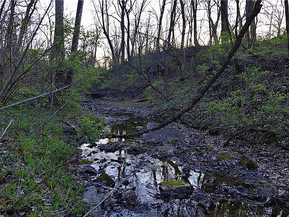 5th image of Williams Rd