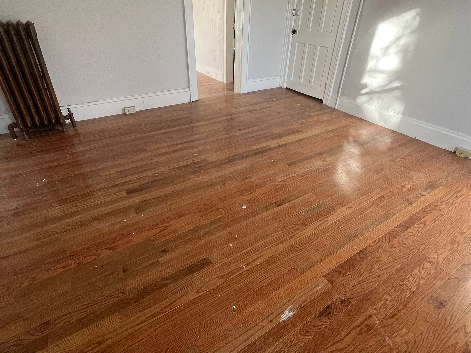 1 bed, 800 sqft, $1,400 — Photo 2