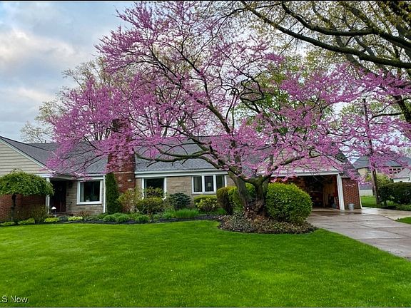 3rd image of 3829 Carol Blvd