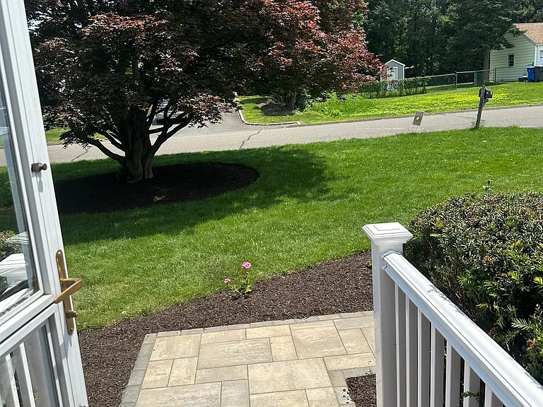 54 Randall Dr — Photo 14