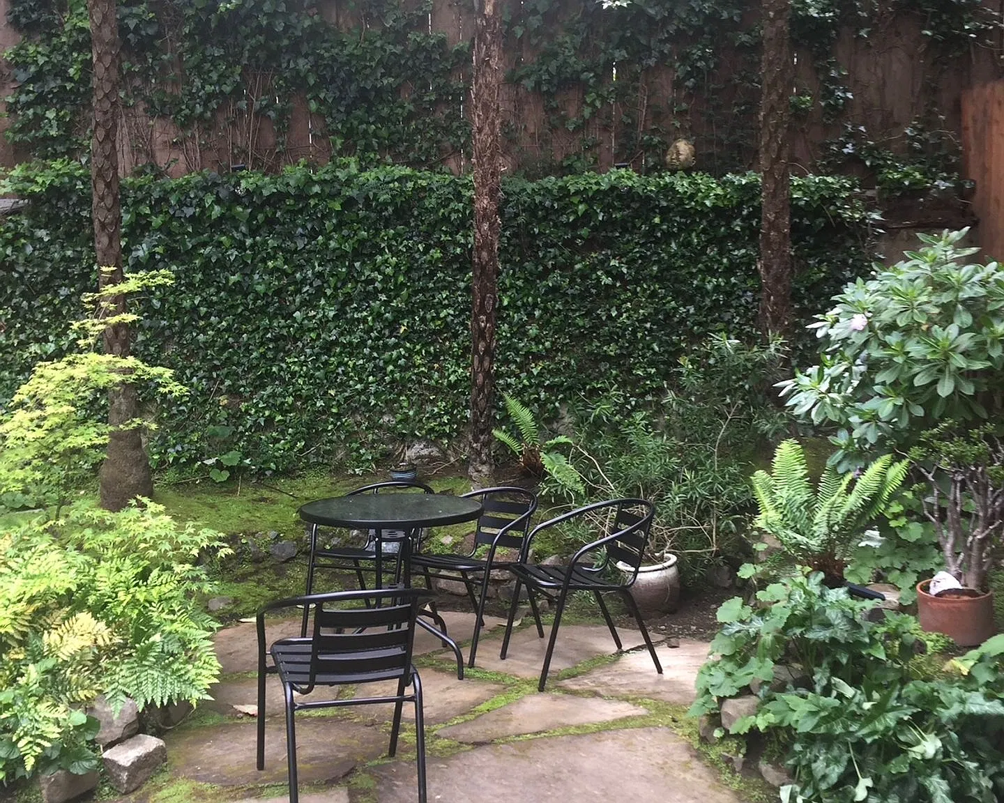 Near Alamo Square Park - 1 bedroom plus extra room - split bathroom - Shared yard and shared coin... — Photo 2