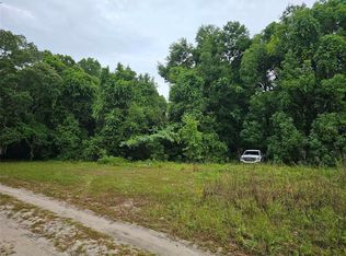 SE 140th Ter Lot 4, Ocklawaha, FL 32179