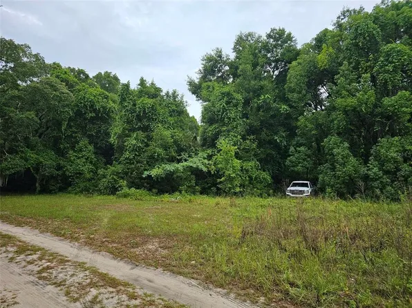 SE 140th Ter Lot 4, Ocklawaha, FL 32179
