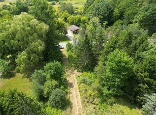 Hayes Hollow Rd #35, Colden, NY 14033