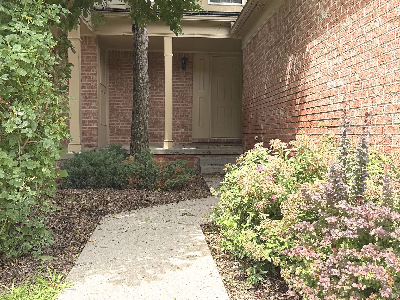 2 bed, 1.5 bath, 1121 sqft, $1,900 — Photo 2
