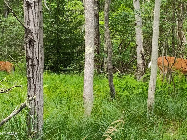 158 Overlook Dr Lot 158, East Stroudsburg, PA 18301