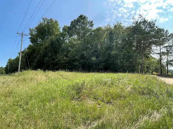 0 County Road 23, Clio, AL 36017