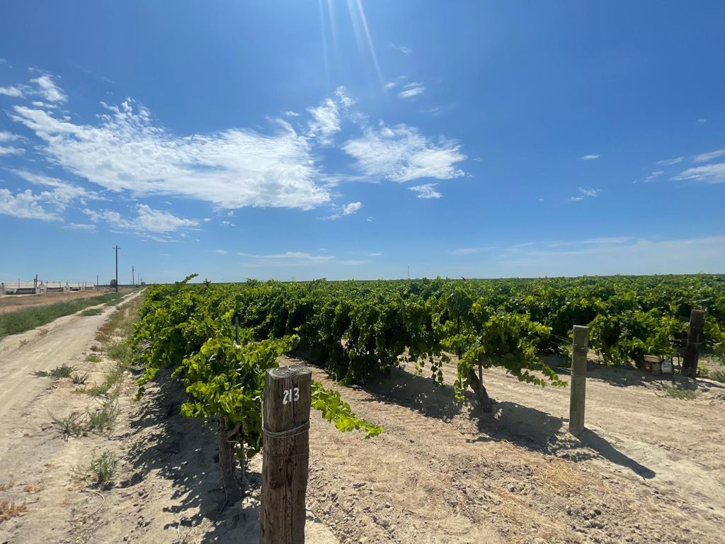 1 S Plumas Ave, Kerman, CA, Kerman