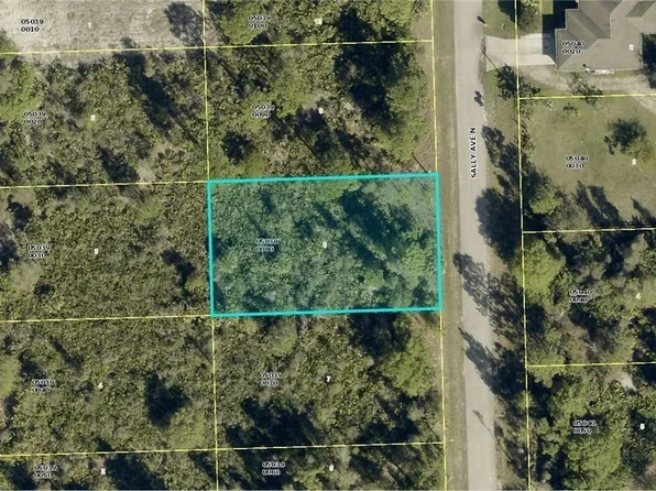 6005 Sally Ave N, Lehigh Acres, FL 33971