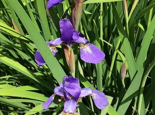 1935 Southbreeze Ct, Cumming, GA 30041