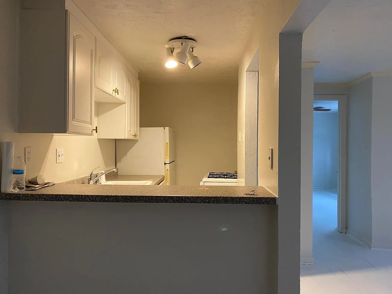 1 bed, 1.0 bath, 700 sqft, $850 — Photo 3