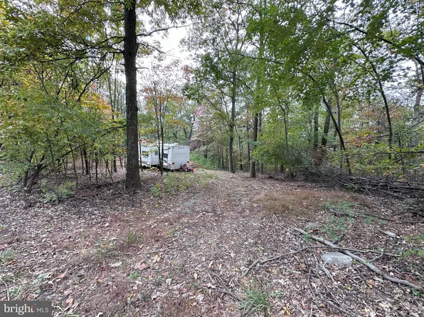 Mountain Top Rd, Bloomery, WV 26817