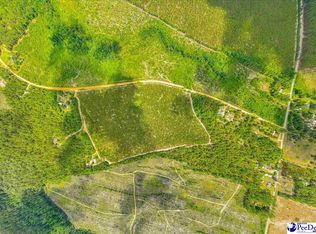 261 Huggins Rd, Patrick, SC 29584