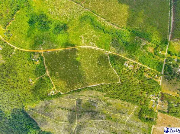 261 Huggins Rd, Patrick, SC 29584