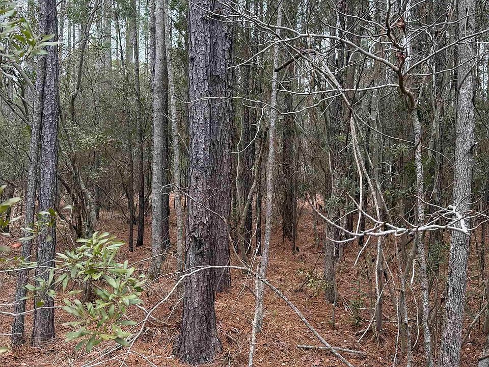 2nd image of 12 Sessom Rd Lot 12