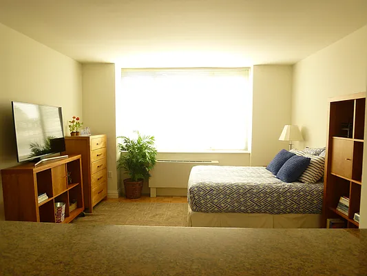 Rented by Carnegie Hill Place | media 3