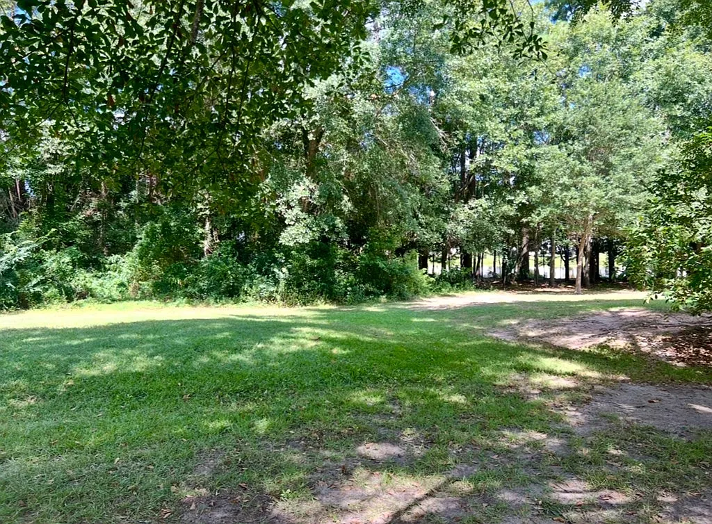 3 bed, 1237 sqft, $1,750 — Photo 3