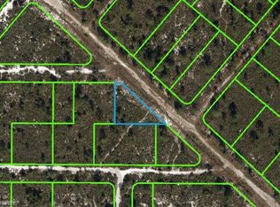 536 Nevada Ave, Lake Placid, FL 33852