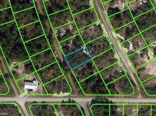 205 Blue Horizon Dr, Lake Placid, FL 33852