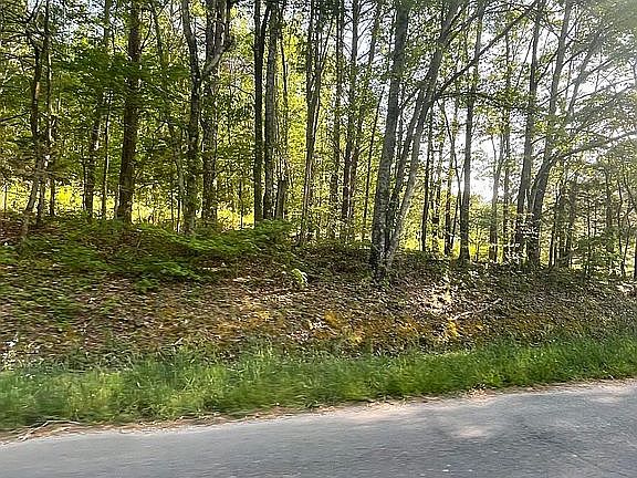 2nd image of 0 Lower Gordon Springs Rd