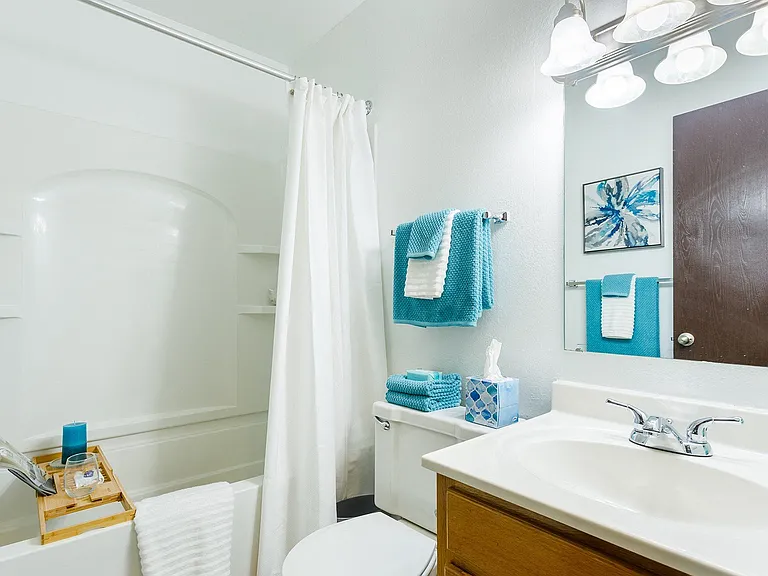 Waters Landing Apartments — Photo 9