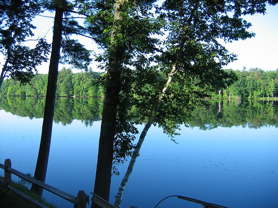 Morning at the cottage