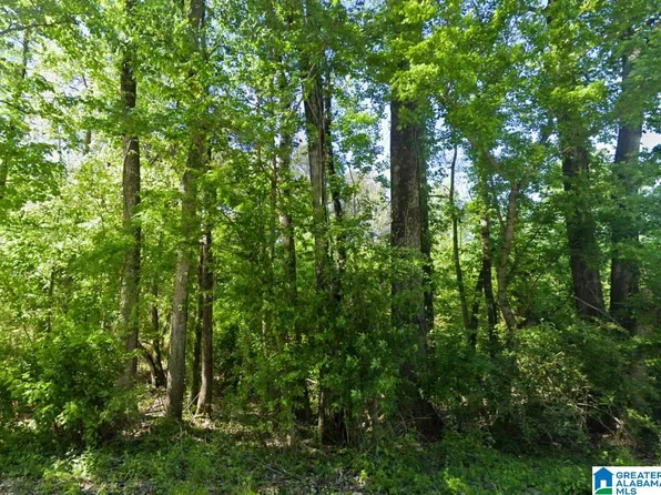 0 Glovers Ferry Rd, Alpine, AL 35014