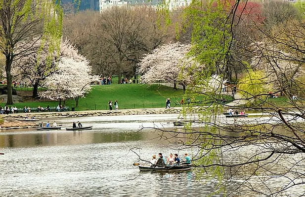 Sold by New York Home Real Estate Services | media 12