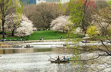 Sold by New York Home Real Estate Services