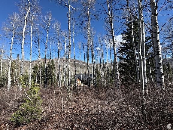 4th image of 662 Red Fir Way