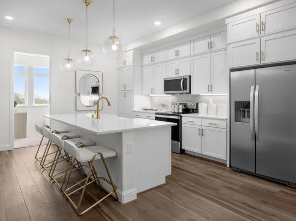 Plan C Plan, The Heights