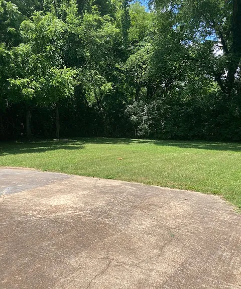 Backyard and patio