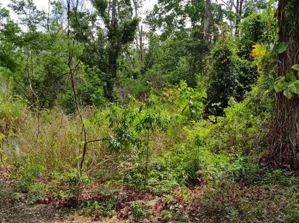 Marjorie Blvd Lot 6, Longwood, FL 32750