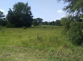 175 Pine Tree Rd, East Palatka, FL 32131