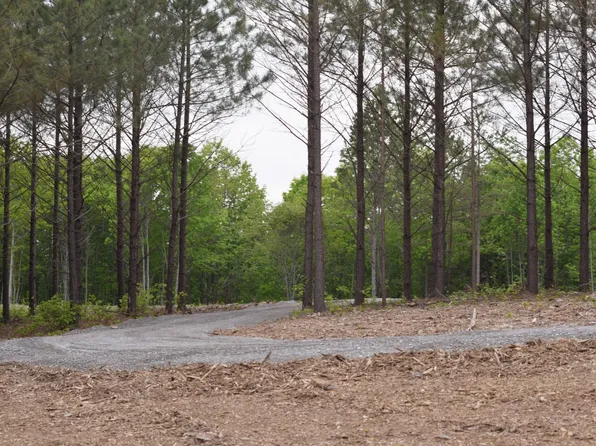 19 Chestnut Dr Lot 169, Linden, TN 37096