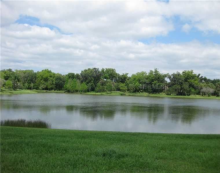 Back yard view