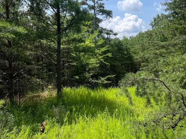 1262 Jewel Ct NE, Ranger, GA 30734