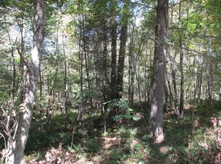 100 Old Buckeye Rd, Buckeye, WV 24924